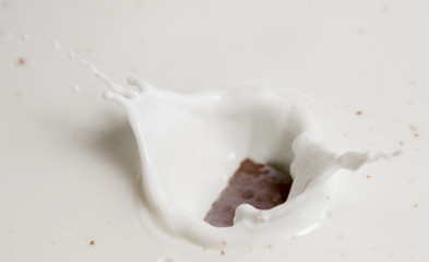 Chocolate falls in milk