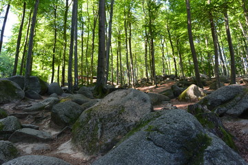 Felsenmeer (Lautertal)