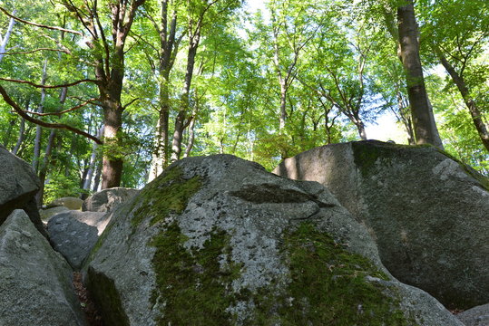 Felsenmeer (Lautertal)