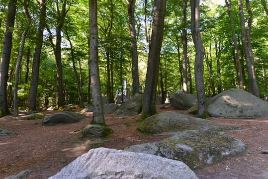 Felsenmeer (Lautertal)
