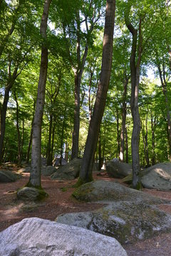 Felsenmeer (Lautertal)