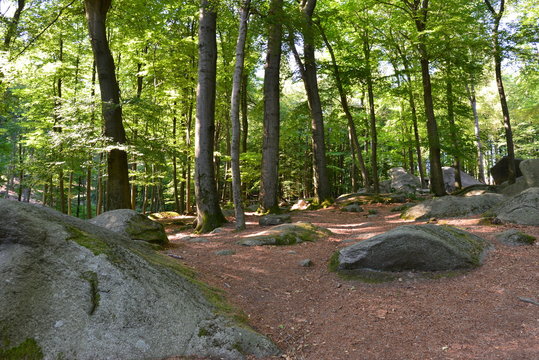 Felsenmeer (Lautertal)