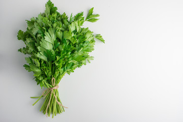 Fresh parsley on white background