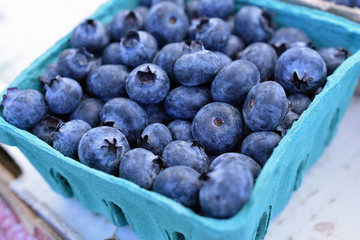 Freshly Picked Blueberries
