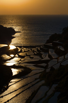 浜野浦の棚田