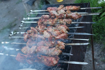  Shish kebab on a picnic