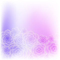 Beautiful purple pink rose flower background. Background for your design.