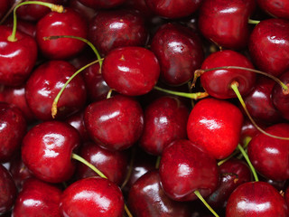 Fresh sweet cherry background, prunus avium. Close-up wild cherry fruit texture