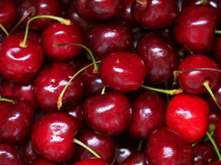 Prunus avium, fresh sweet cherry background. Close-up wild cherry fruit texture