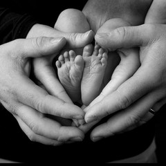 Heart of the Family