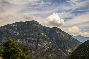 Fototapeta premium A picturesque landscape of mountain forests and alpine fields on a sunny summer day