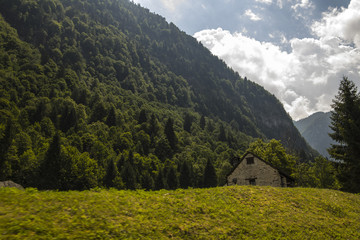 A picturesque landscape of mountain forests and alpine fields on a sunny summer day