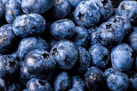 Surface is covered with a thick layer of blueberries. Natural background. Concept Healthy Food. Diet Nutrition . Top View.Single Banner. selective focus.