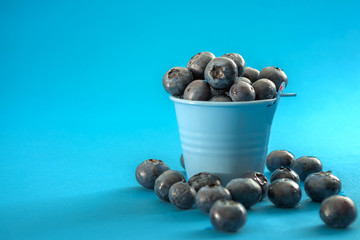 Summer fruit, natural blueberry diet and healthy eating concept with a bucket of blueberries against a minimalist blue colorful background with copy space