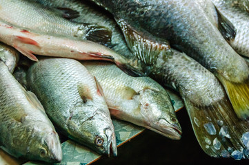 Pile of fresh fish on market stall in Southern Thailand