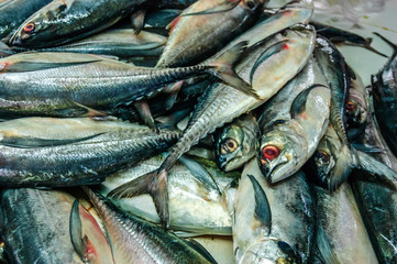Pile of fresh fish on market stall in Southern Thailand