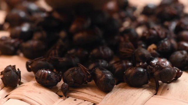 Stirring pile of toasted ants on mat