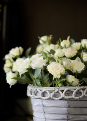 Beautiful artificial white roses in a vase