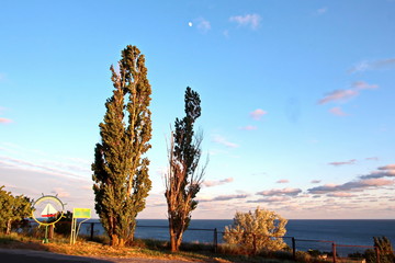 Природа Украины- вид поля пшеницы и берега Черного моря, вечер, заход солнца. Лето 2018   © masterskuz55