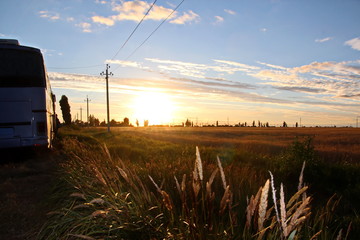 Природа Украины- вид поля пшеницы и берега Черного моря, вечер, заход солнца. Лето 2018   © masterskuz55