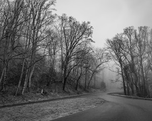black and white foggy road