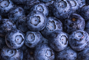Fresh ripe blueberries with drops of dew. Berry background. Macro photo.