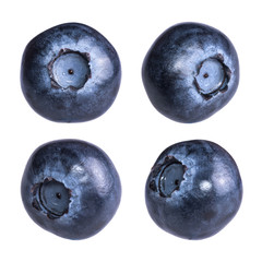 Blueberries isolated on white background. Macro photo. Berry view from different sides