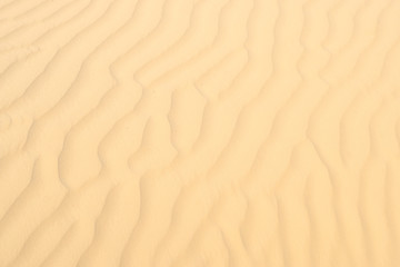 Fototapeta na wymiar texture of sand on the dunes around the sea