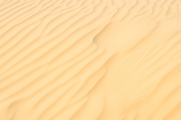 texture of sand on the dunes around the sea