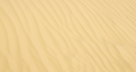 texture of sand on the dunes around the sea