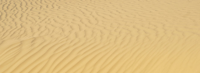 Fototapeta na wymiar texture of sand on the dunes around the sea