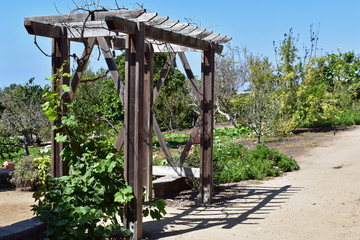 Fototapeta premium Garden Arbor Along Pathway