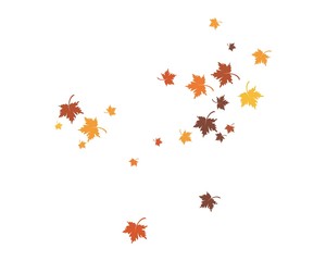 autumn Leaf background template