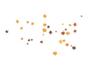 autumn Leaf background template