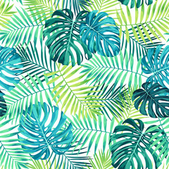 Tropical leaf design featuring green/blue palm and Monstera plant leaves on a white background. Seamless vector repeating pattern. - 214010944