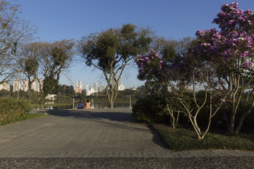 Barigui Park in Curitiba.