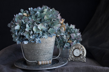 Vintage style photograph of dried blue hydrangea in a galvanized bucket on black