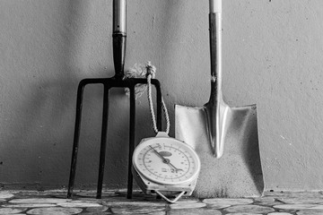 Metal Garden Digging Fork, Scale, Metal Spade. Isolated. Copy space for text.
