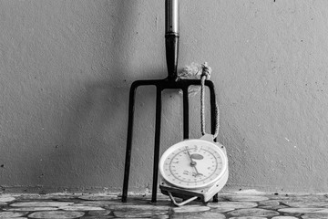 Metal Garden Digging Fork and Scale. Isolated. Copy space for text.