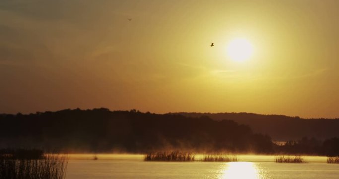 Beautiful picture f the lake landscape on a dawn and birds flying over on the sun background. Outdoor.