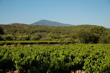 Fototapeta na wymiar Mont Ventoux, Provence