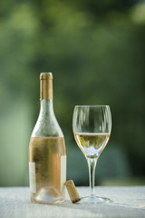 Chilled Rose Wine