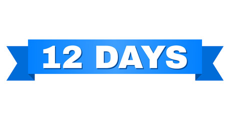 12 DAYS text on a ribbon. Designed with white caption and blue stripe. Vector banner with 12 DAYS tag.