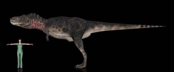 恐竜縮尺図・タルボサウルス