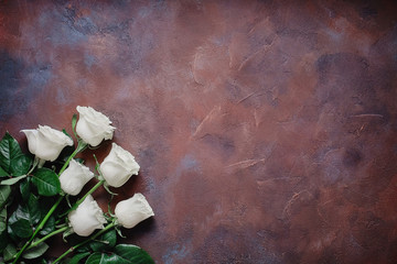 Six white roses on a beautiful stone background. Space for labels