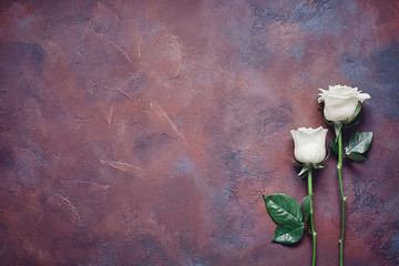 Two white roses on a beautiful textured stone background