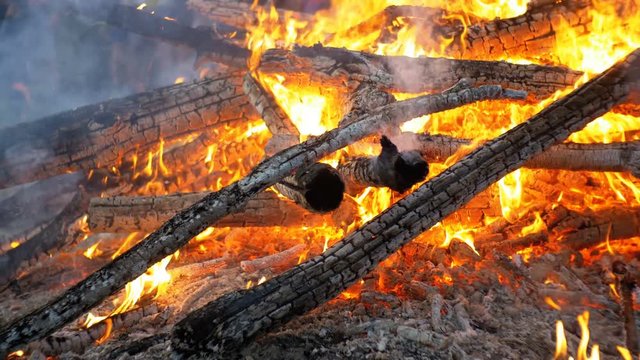Big Campfire from Branches Burn at Night in the Forest. Large Fire Brightly Burning at Night. Embers of the fire climb up. The heated coal beautifully shimmering red glow. Red flames surging up.