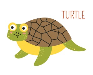 Turtle with shell cartoon childish book character