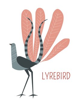 Lyrebird cartoon vector bird from Australia