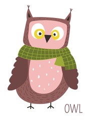 Owl with scarf childish cartoon book character